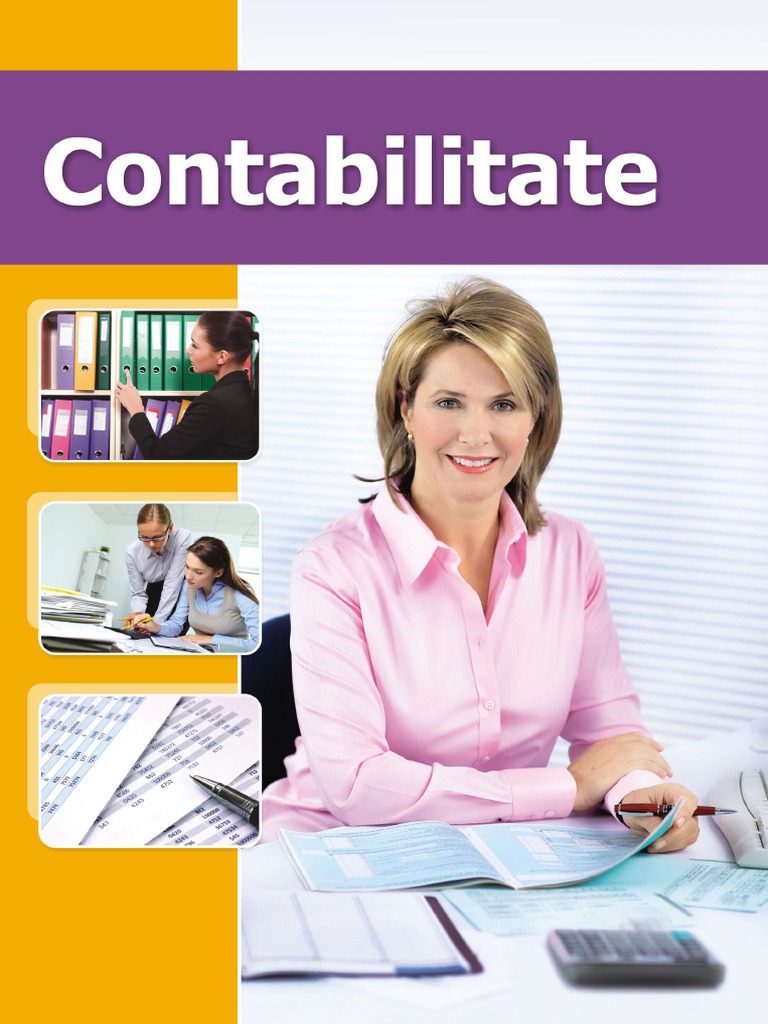 Lectie Demo Contabilitate | PDF