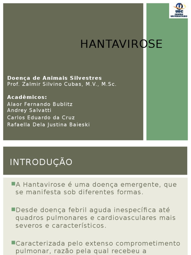 Hantavirose: Transmissão e Sintomas | PDF | Remédio | Doenças e distúrbios