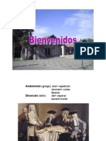 Generalidades hhgghy Audición