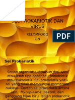 Sel Prokariotik Dan Virus