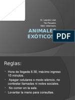 Veterinario Exóticos Manejos