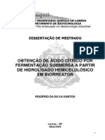 Ac Citrico Fermentacao Submersa