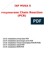 PCR Techniques Explained