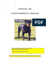 Curso de Adestramento Canino II