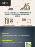 Problematica Agricola