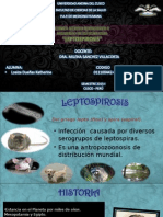 4leptospirosis-2014