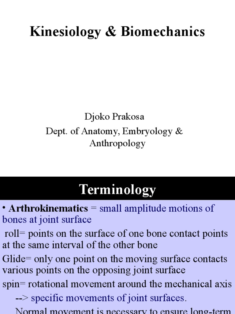 Kinesiology and Biomechanics Overview | PDF | Lever | Muscle