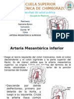 Arteria Mesenterica Inferior