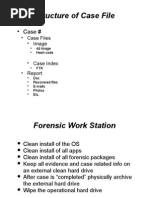 Structure of Case File