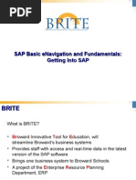 Sap Basic Enavigation and Fundamentals: Getting Into Sap