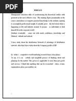 distribution channel management.doc