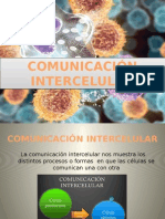 comunicación intercelular