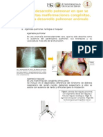 Histologia Enfermedades y Imagenes