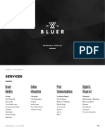 Bluer_profile_2D_2015.pdf