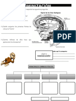 Ficha de Travajo Hominización