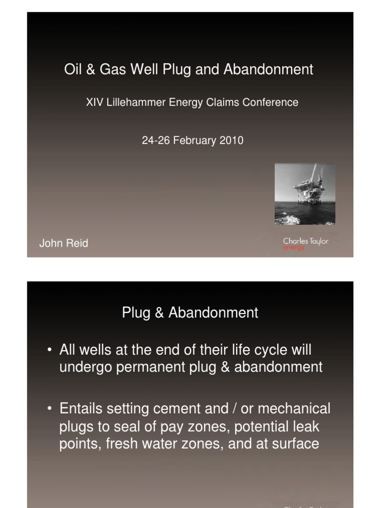 Well Plug Abandonment Pdf Oil Well Casing Borehole