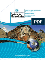 Adaptation to Climate Change-Options for Marine Turtles - Fish & Drews 2009
