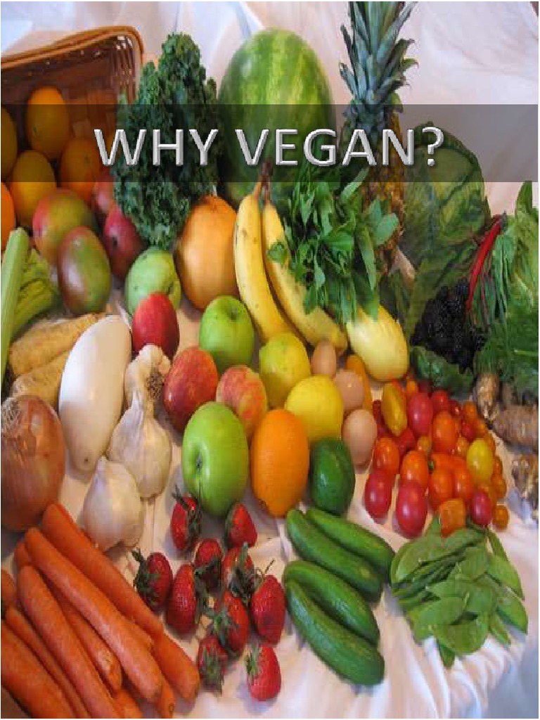 Why Vegan PDF | PDF | Veganism | Calf