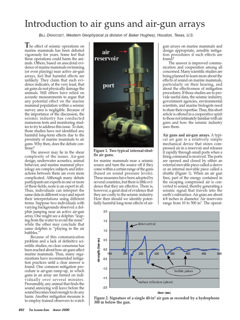 Seismic Airgun Arrays and Marine Mammals | PDF | Reflection Seismology ...