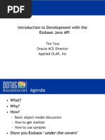 Introduction to Development With the Essbase Java API