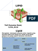 4 Lipid