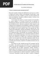El Principio de Cooperacion Procesal
