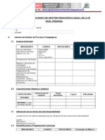 Informe Tecnico Pedagogico_primaria Formato