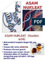 Asam Nukleat