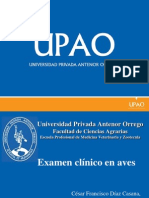 04 Examen Clinico en Aves