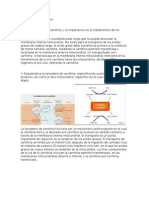 Caso Clinico 3 Bioquimica