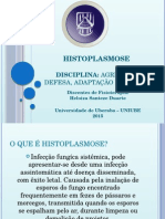 Slides - Histoplasmose 