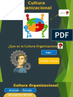 cultura organizacional