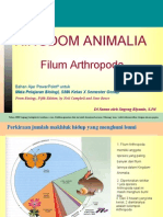 Kingdom Animalia