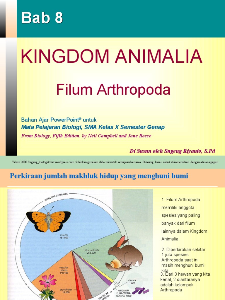 Kingdom Animalia | PDF
