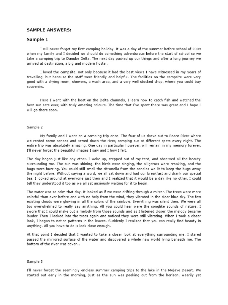essay report about camping trip
