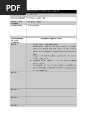 Weekly Internship Progress Report