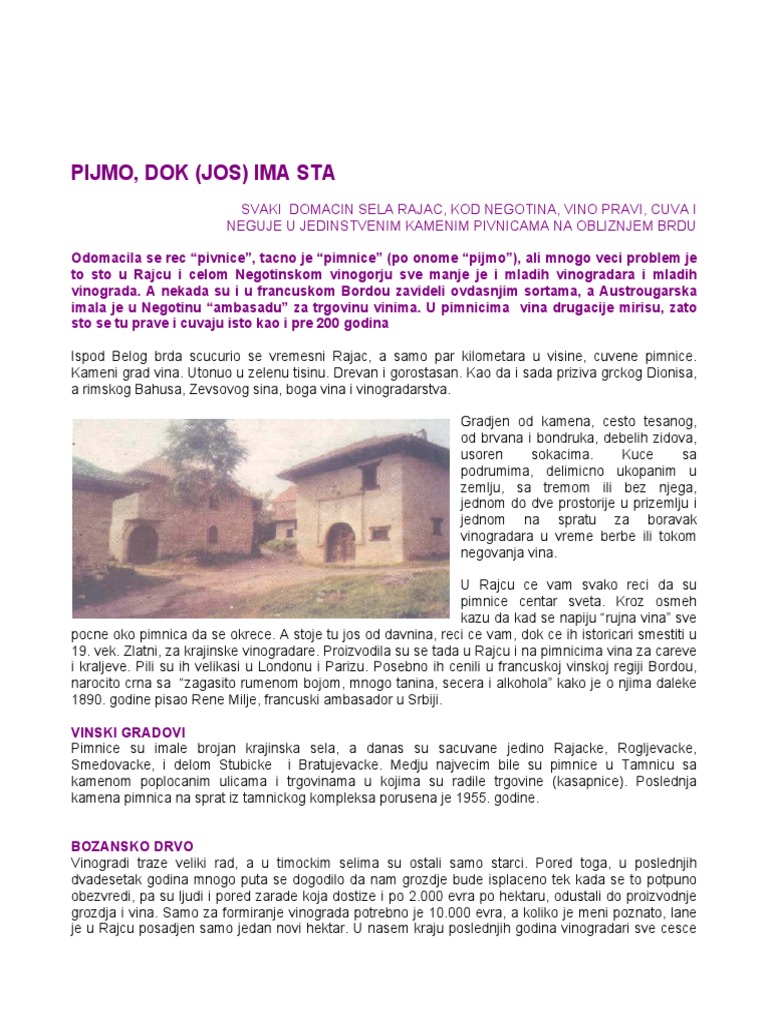 Rajac, Reportaza, Interfer, Suzana PDF | PDF