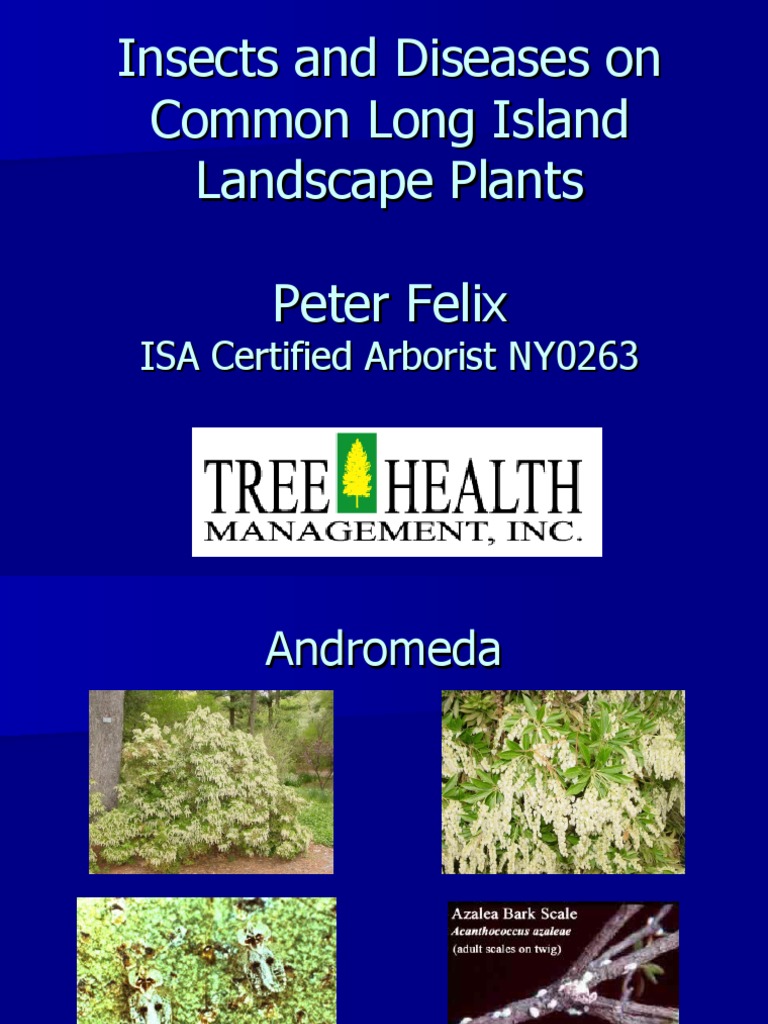 Insect and Disease Guide for Long Island Plants | PDF | Trees | Pest ...