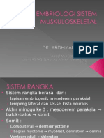 Embriologi Sistem Rangka