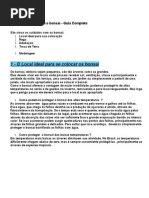 Cuidados Gerais Com o Bonsai!!!