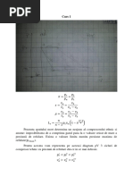 fisier-sef.pdf