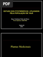 apresentaçao monsenhor.pptx