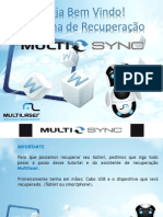 Manual MultiSync
