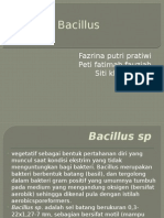 Bacillus Ppt