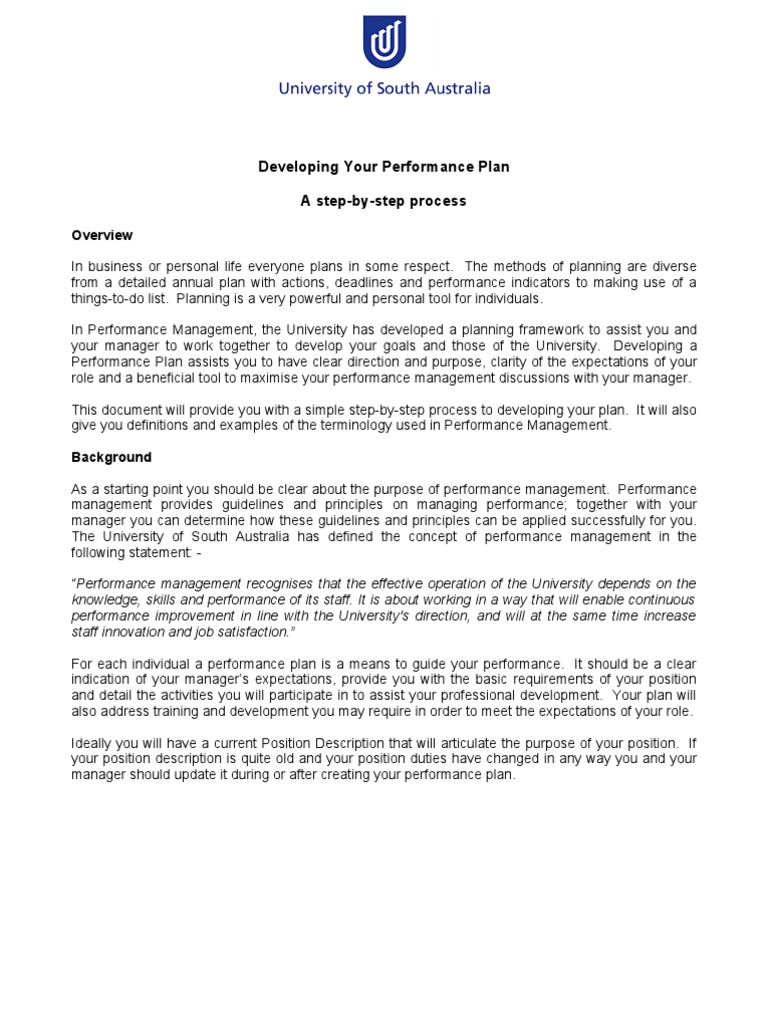 Developing Your Performance Plan A Step-By-step Process | PDF | Business