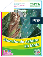 Brochure Mancha de Asfalto 2013