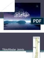 Tibio Fibular Joints