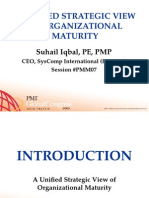PMM07 - A Unified Strategic View of Organizational Maturity