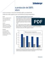 Organic Clay Acid Petrobras Columbia Cs Esp