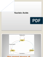 Nucleic Acids -Evs